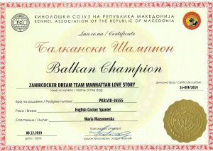 Champion Bałkan