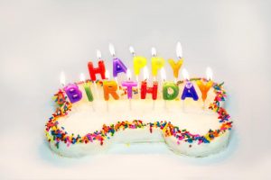 wszystkiego-najlepszego-z-okazji-urodzin-tort-dla-psa-111521384