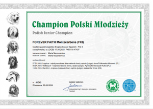 Champion Polski Młodzieży