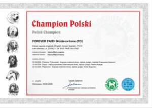 Champion Polski Navia