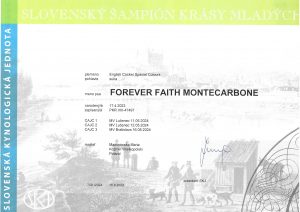 championat Słowacji FOREVER FAITH Montecarbone